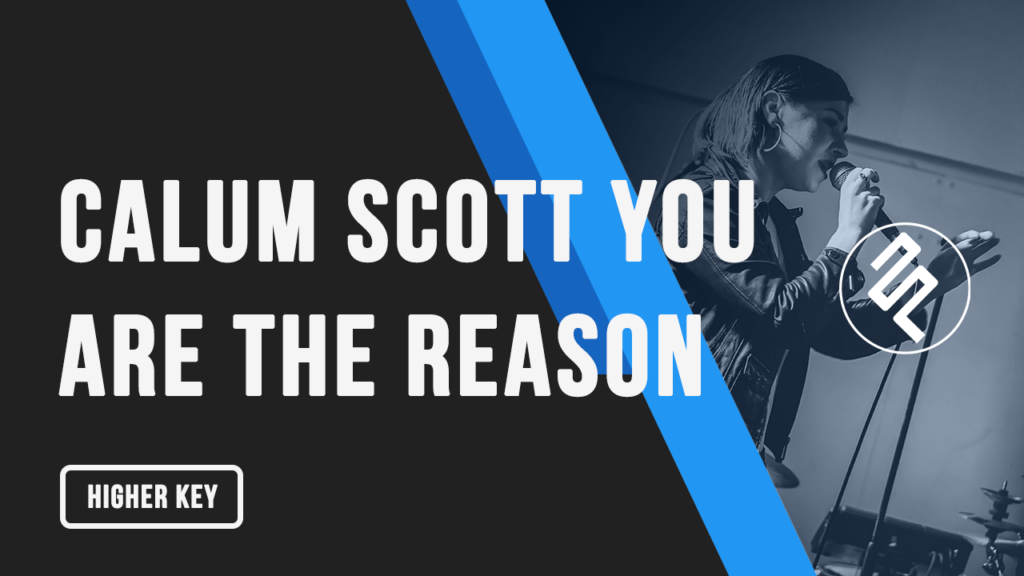 Calum Scott - You Are The Reason Karaoke Higher